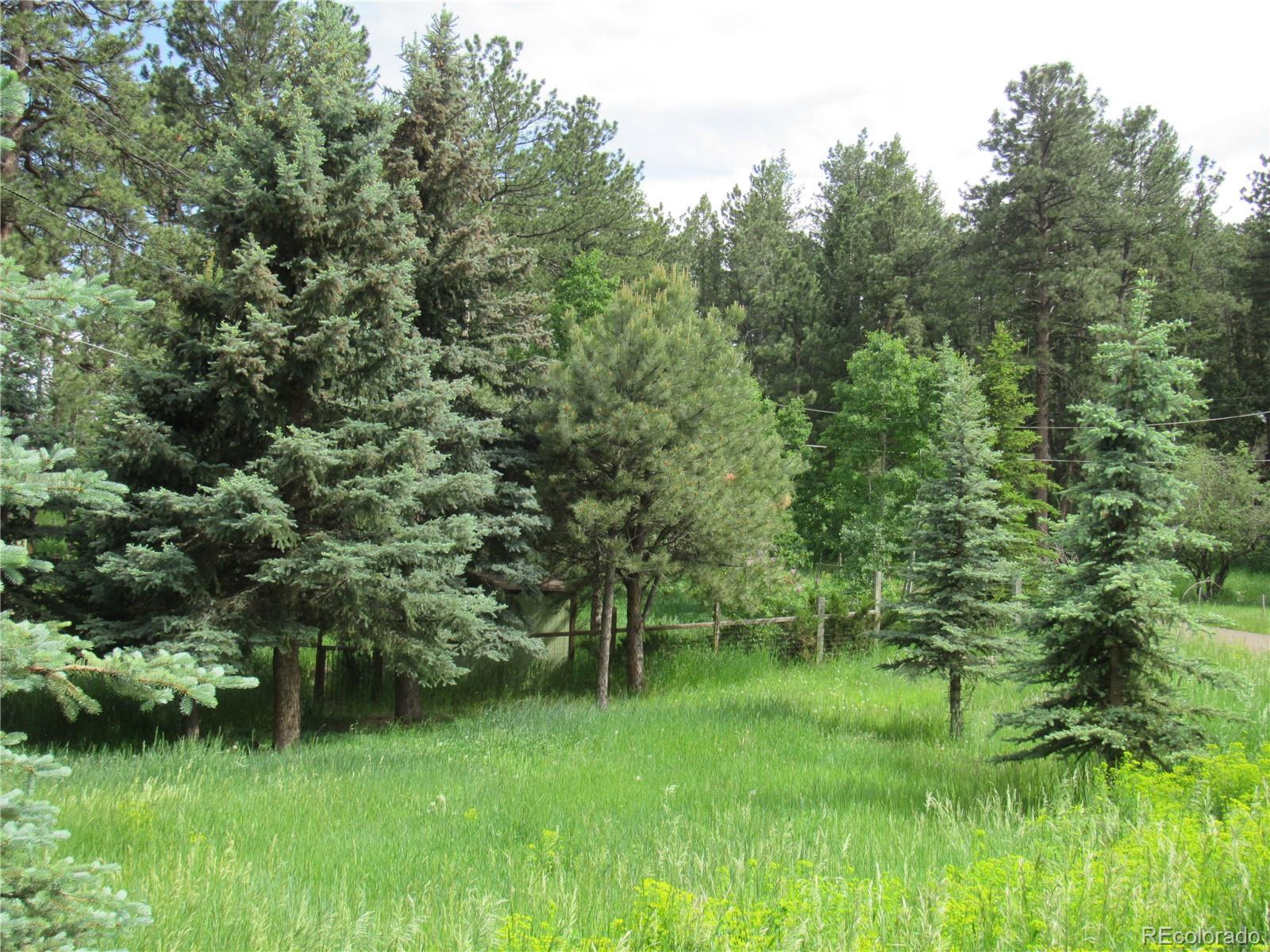 Photo #32