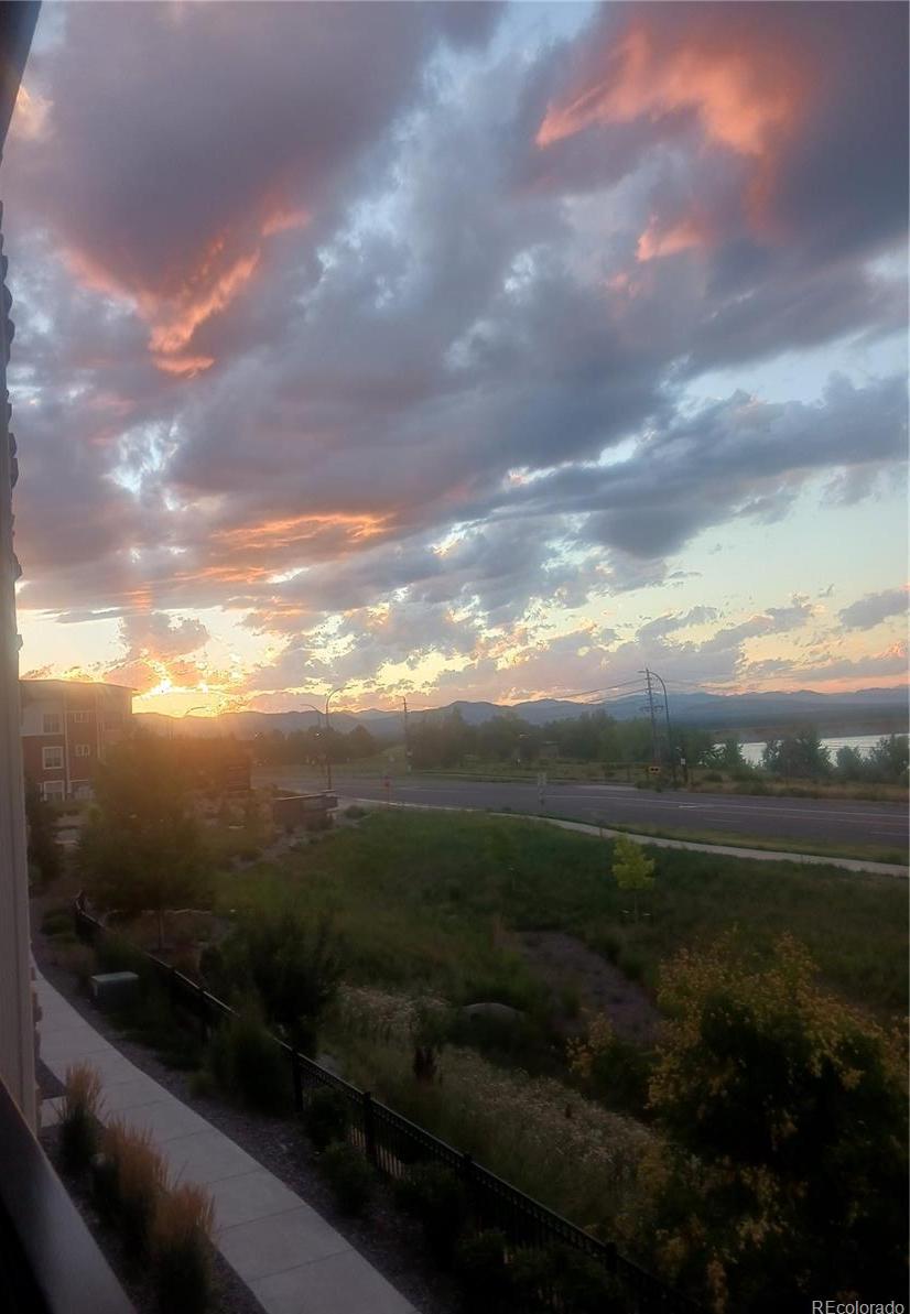 Photo #18