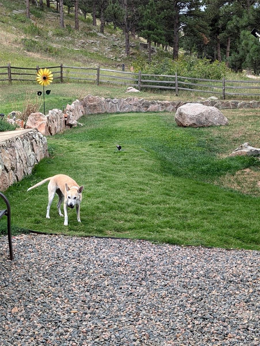 Photo #46