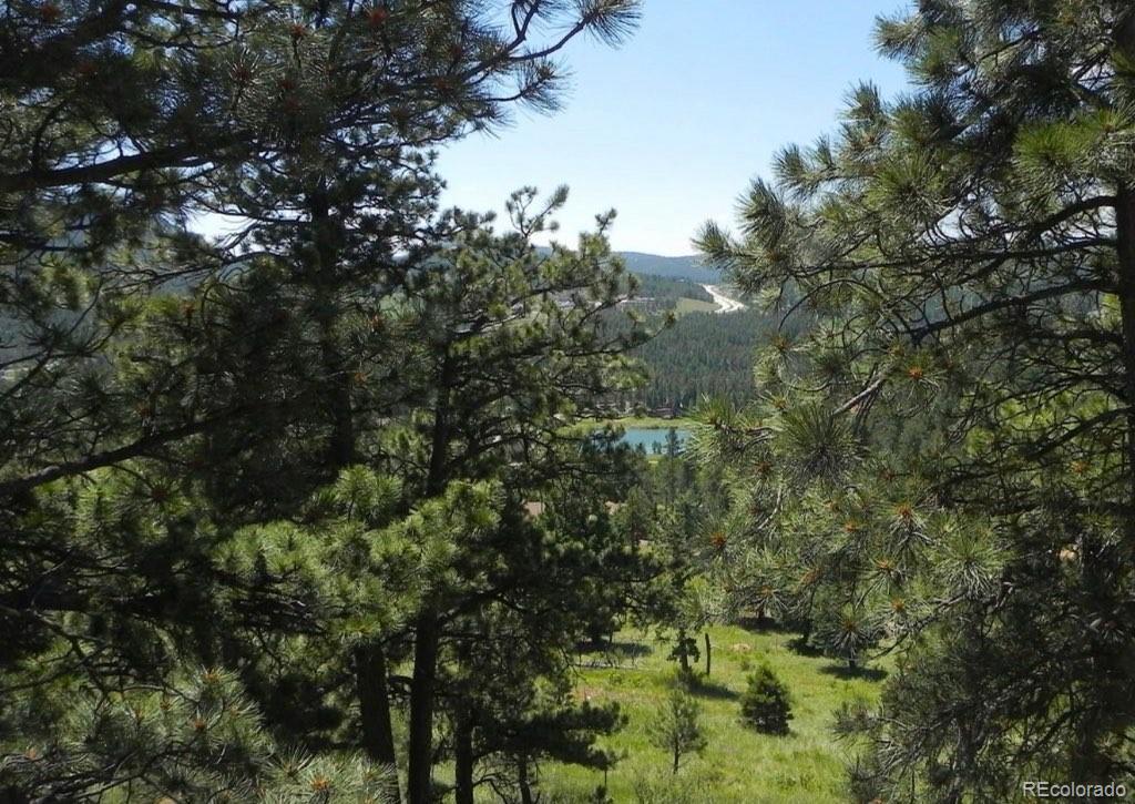 Photo #37