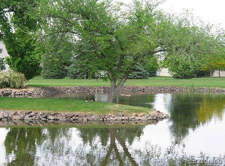 Photo #44