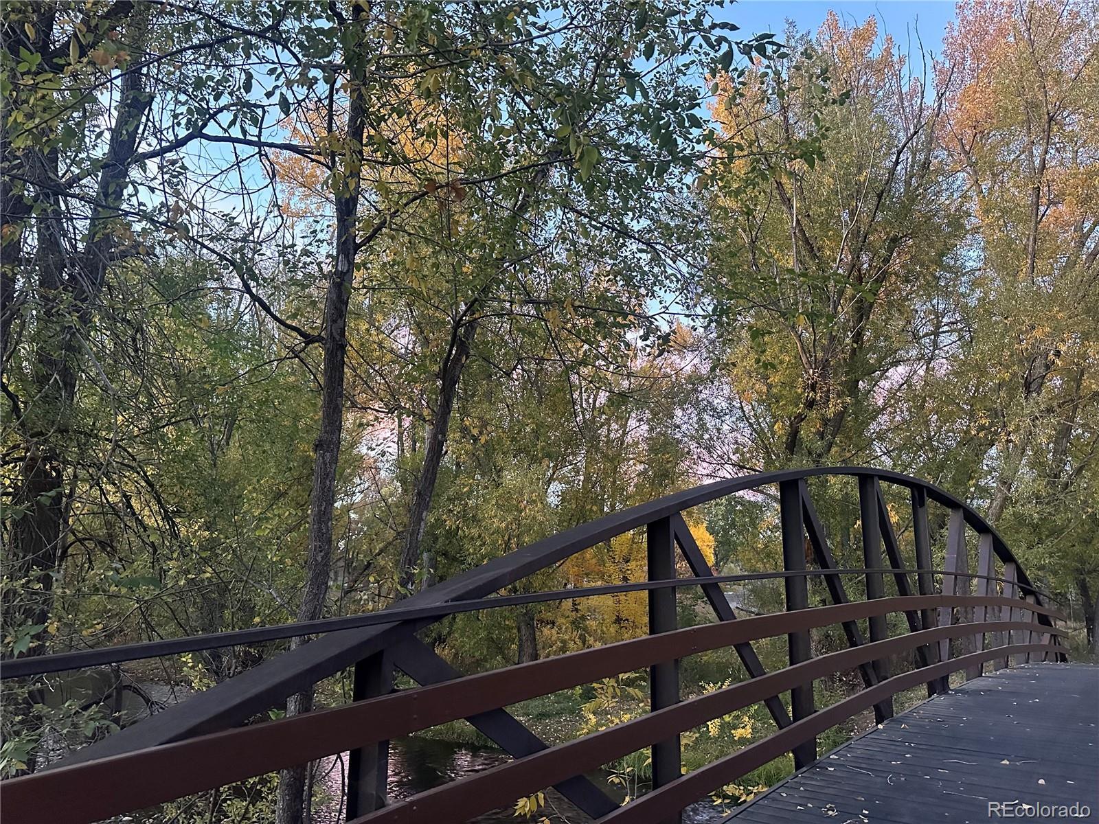 Photo #38