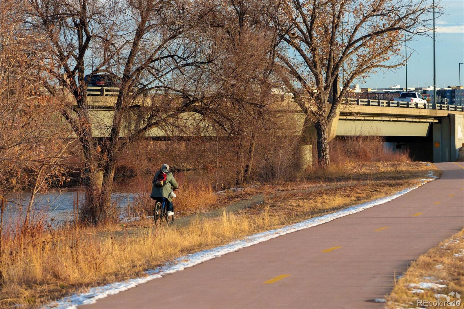 Photo #10