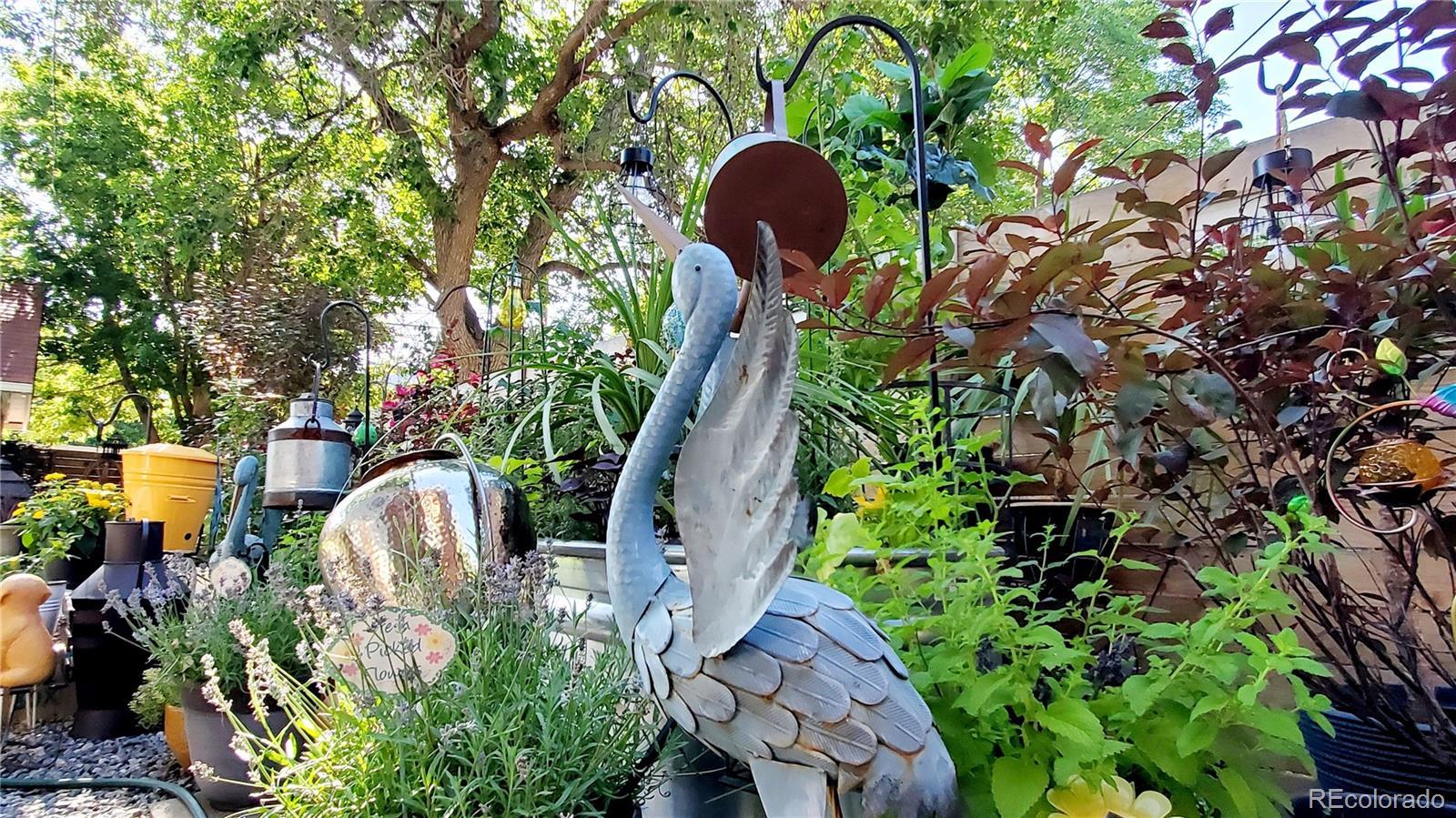 Photo #38