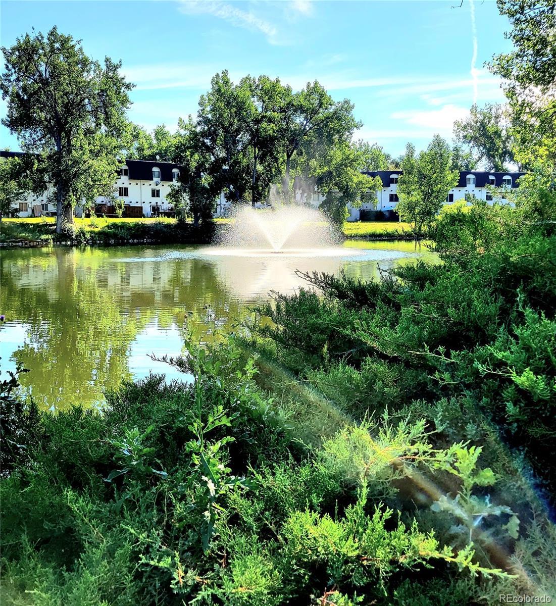 Photo #26