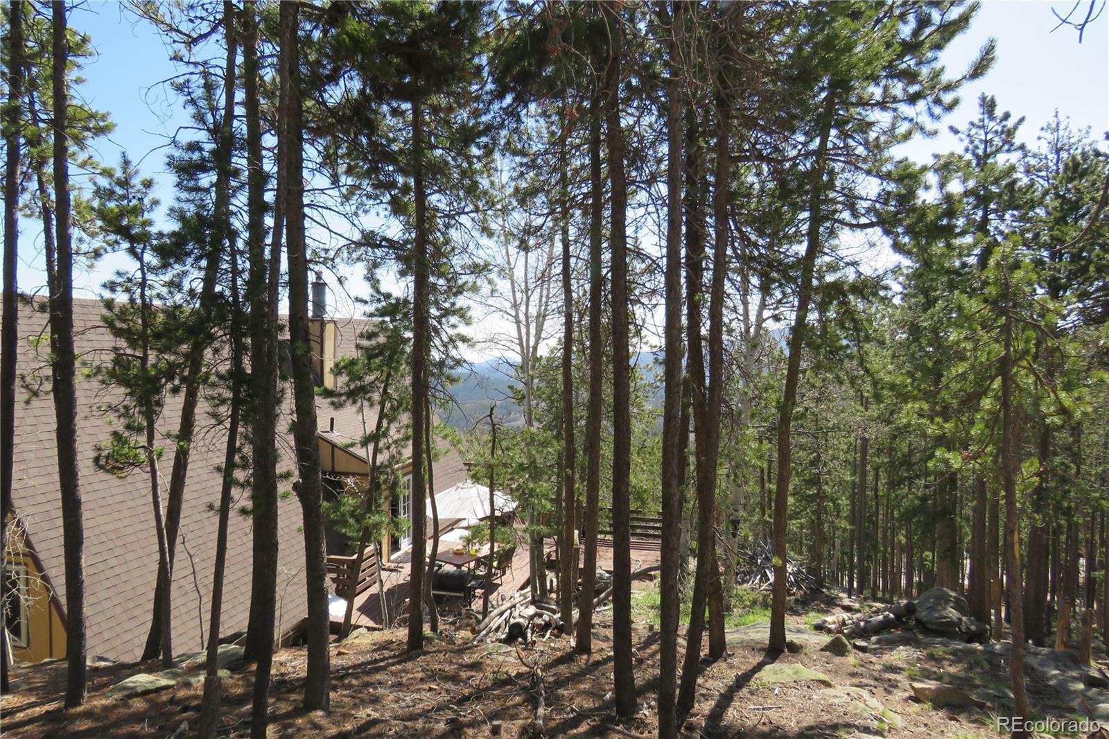 Photo #34