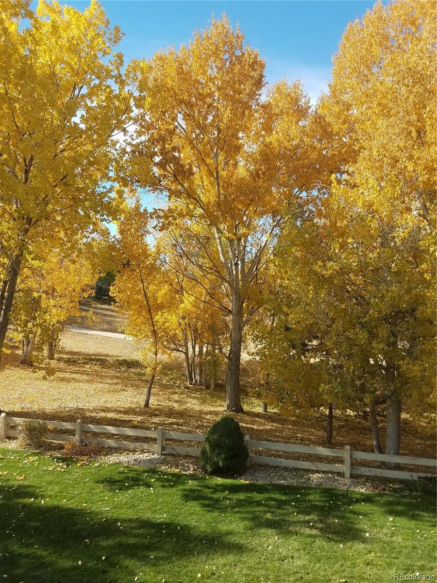 Photo #44