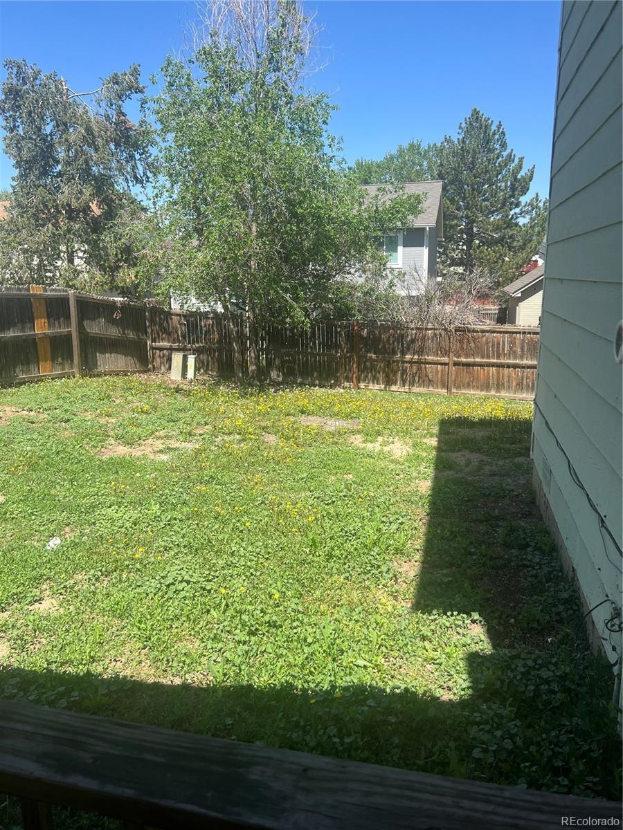 Photo #4