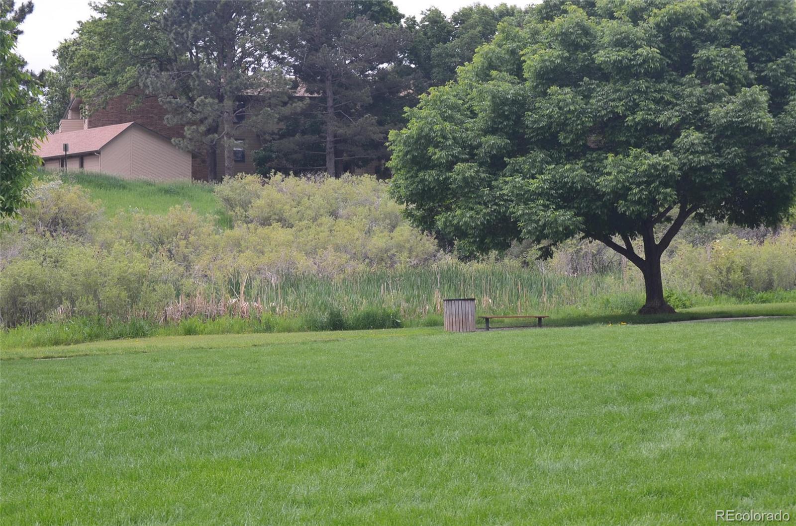 Photo #44