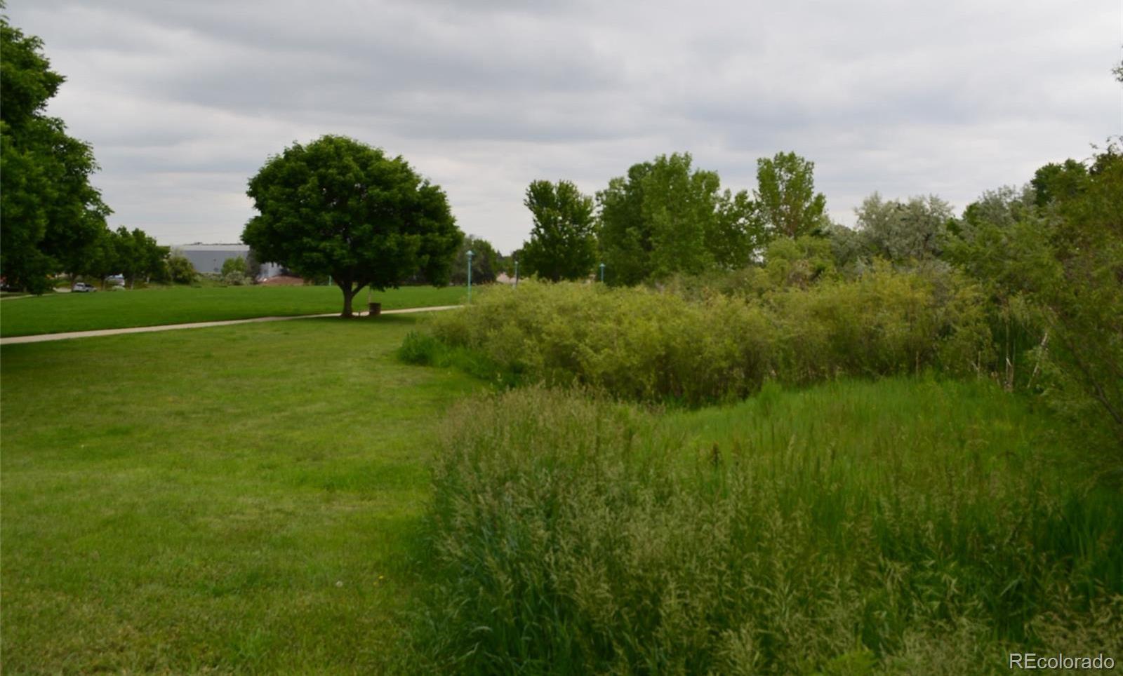Photo #46