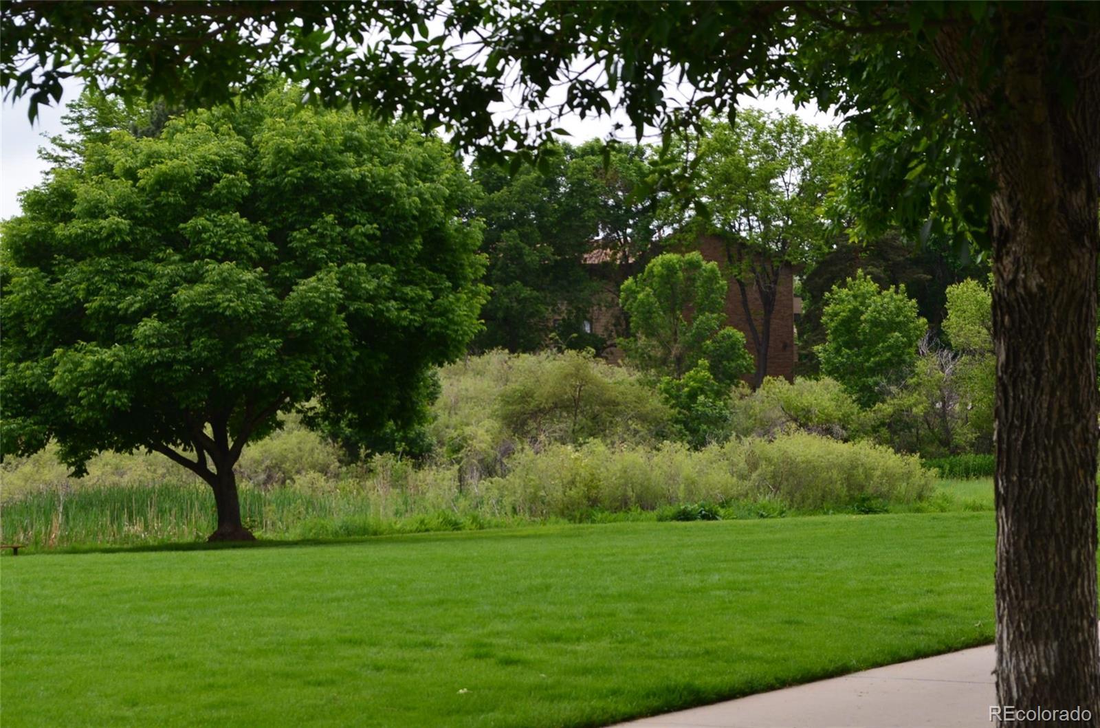 Photo #43