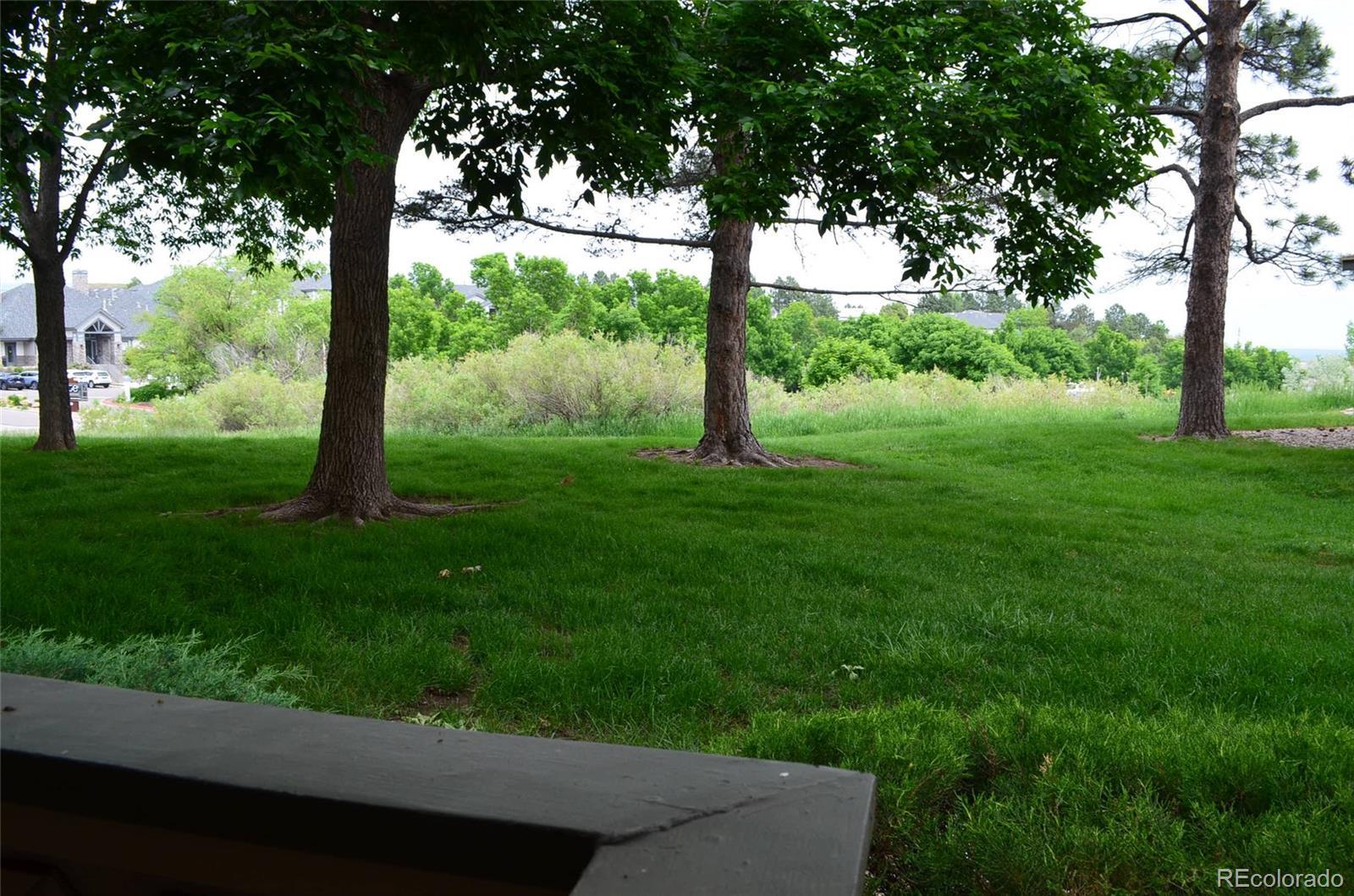 Photo #47