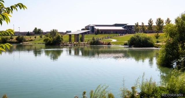 Photo #16