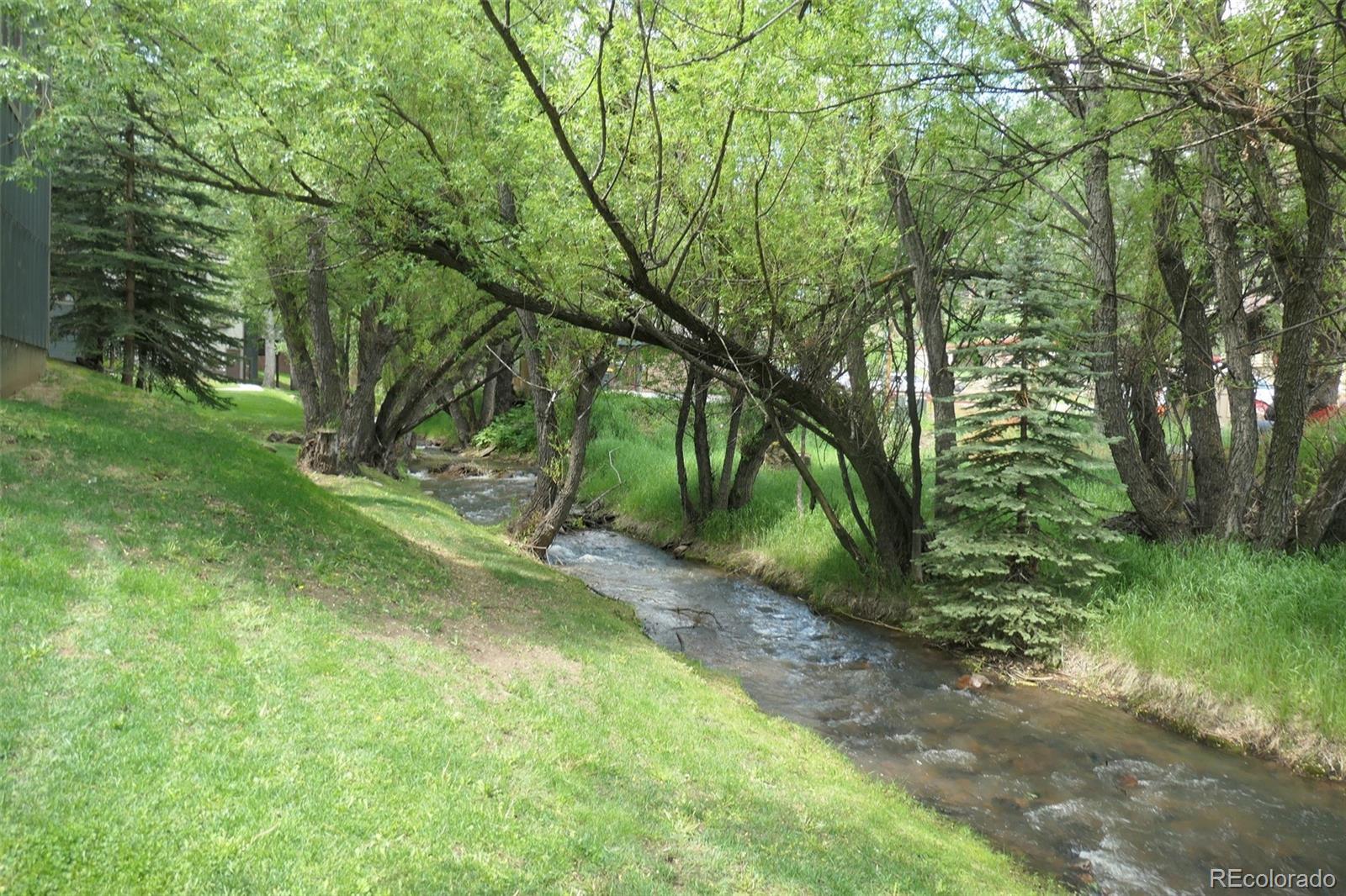 Photo #33