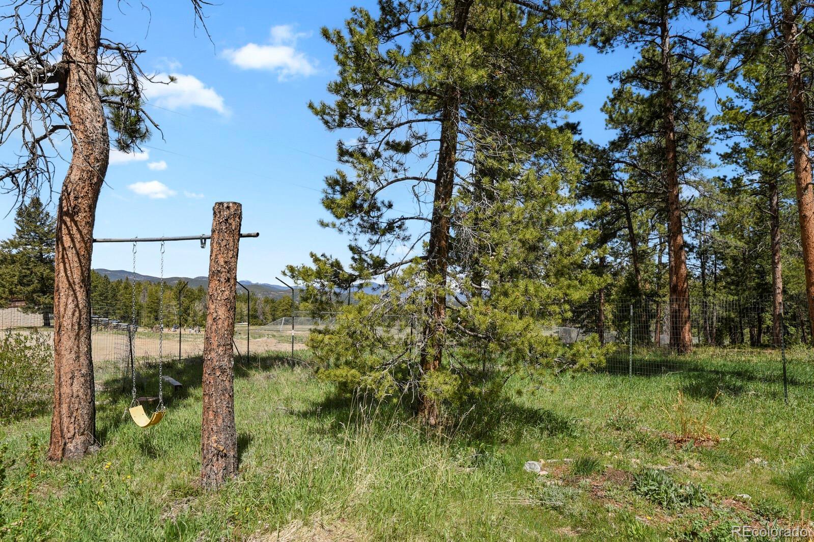Photo #21