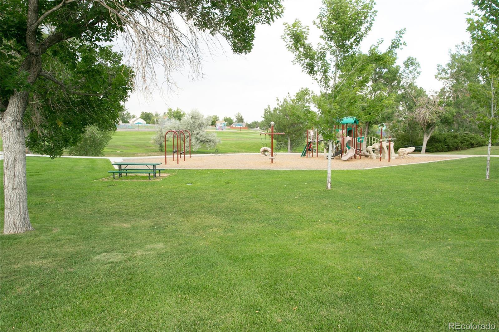 Photo #22