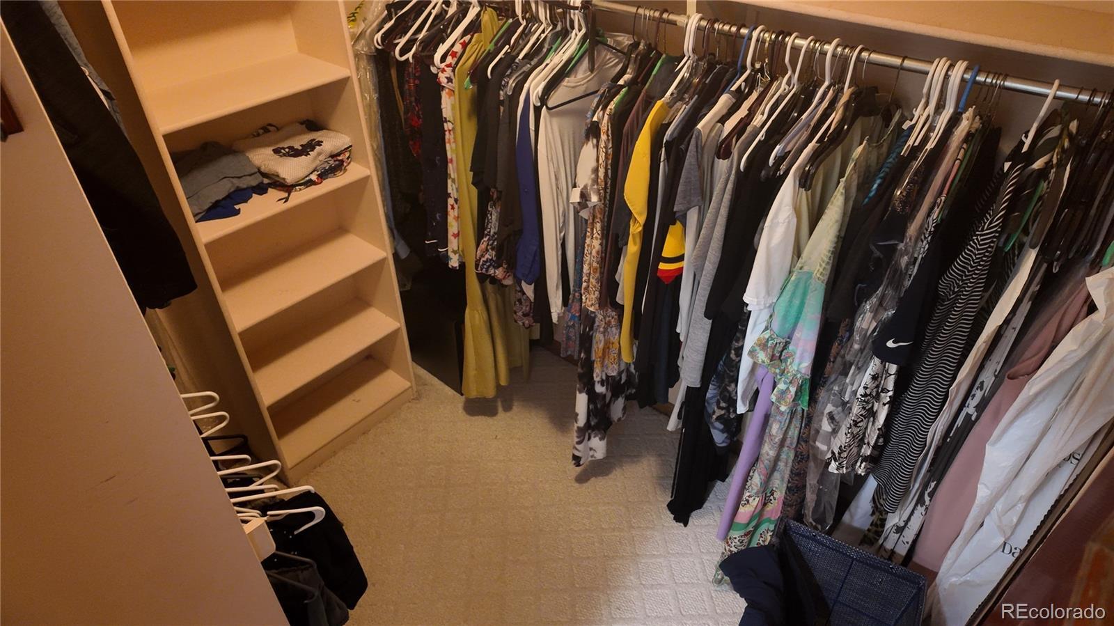 Photo #13