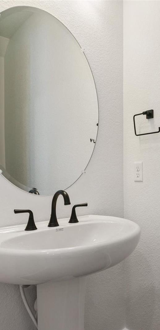 Photo #15