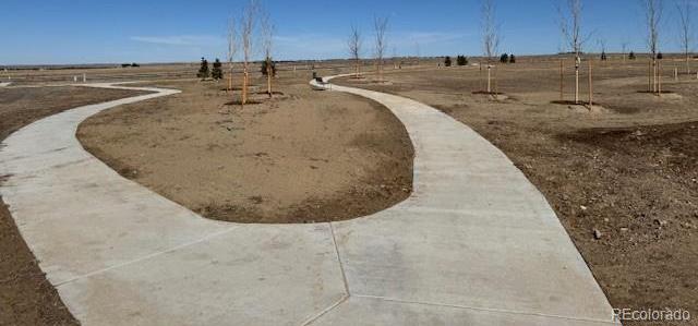 Photo #14