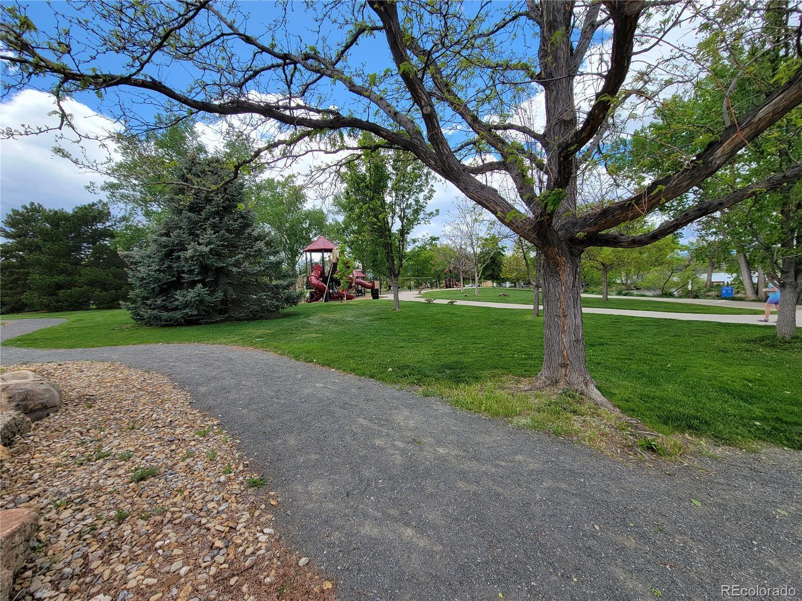 Photo #43