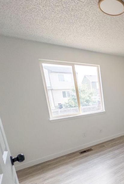Photo #21