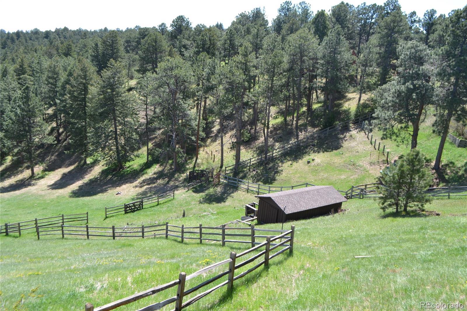 Photo #4