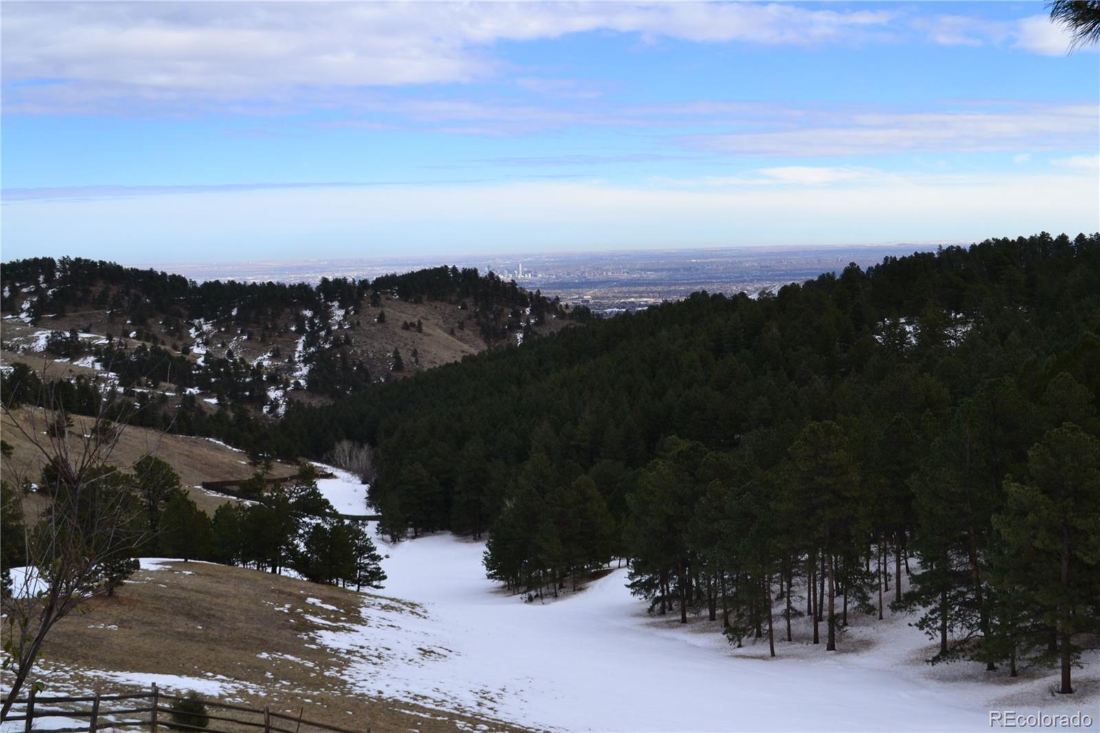 Photo #11