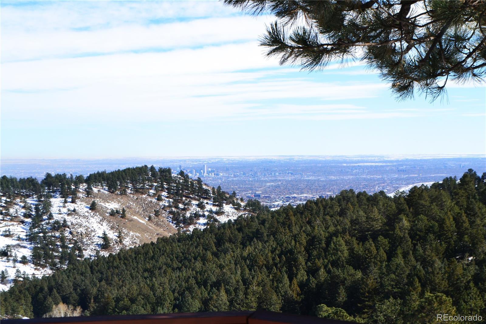 Photo #42