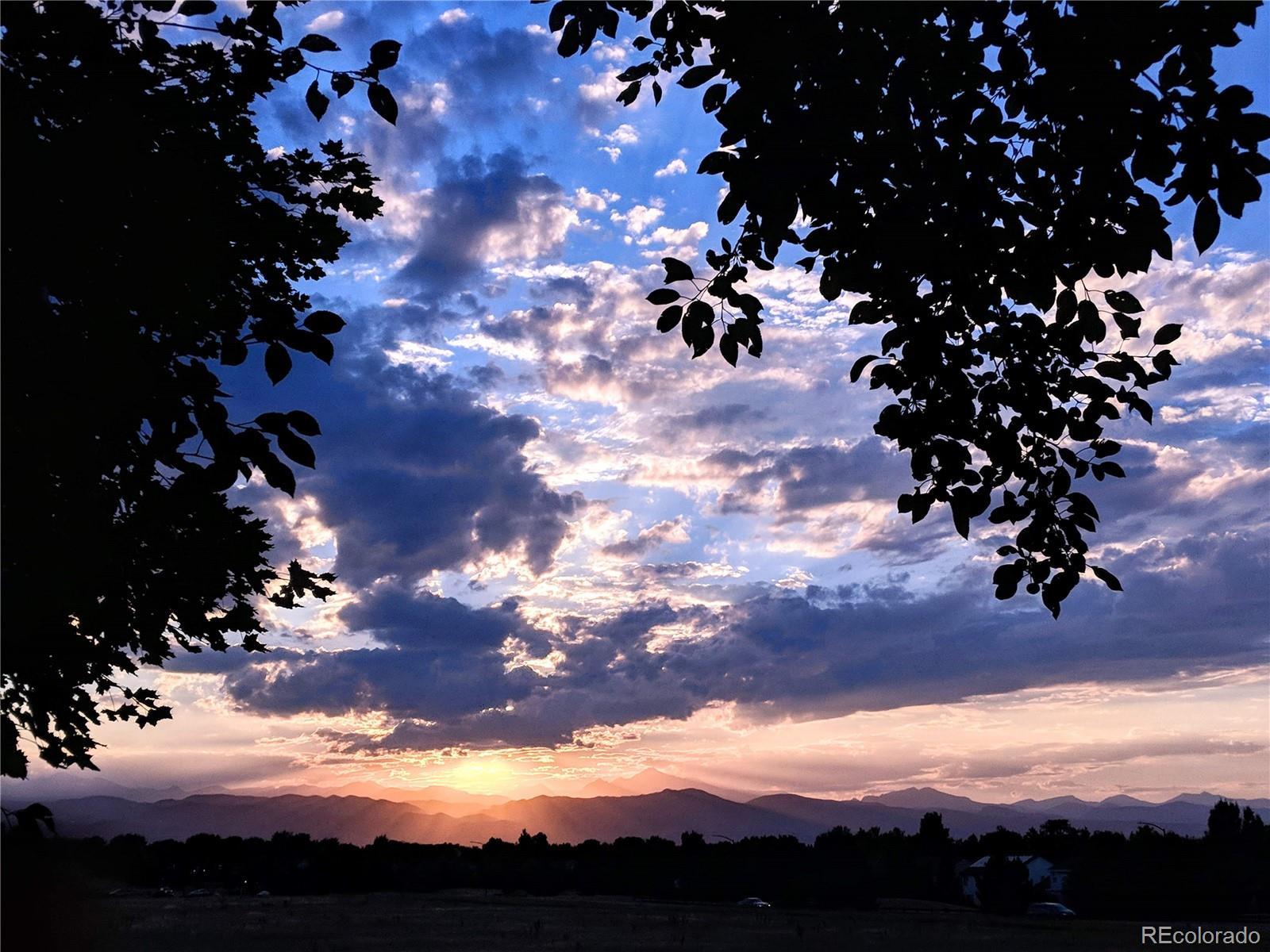 Photo #32