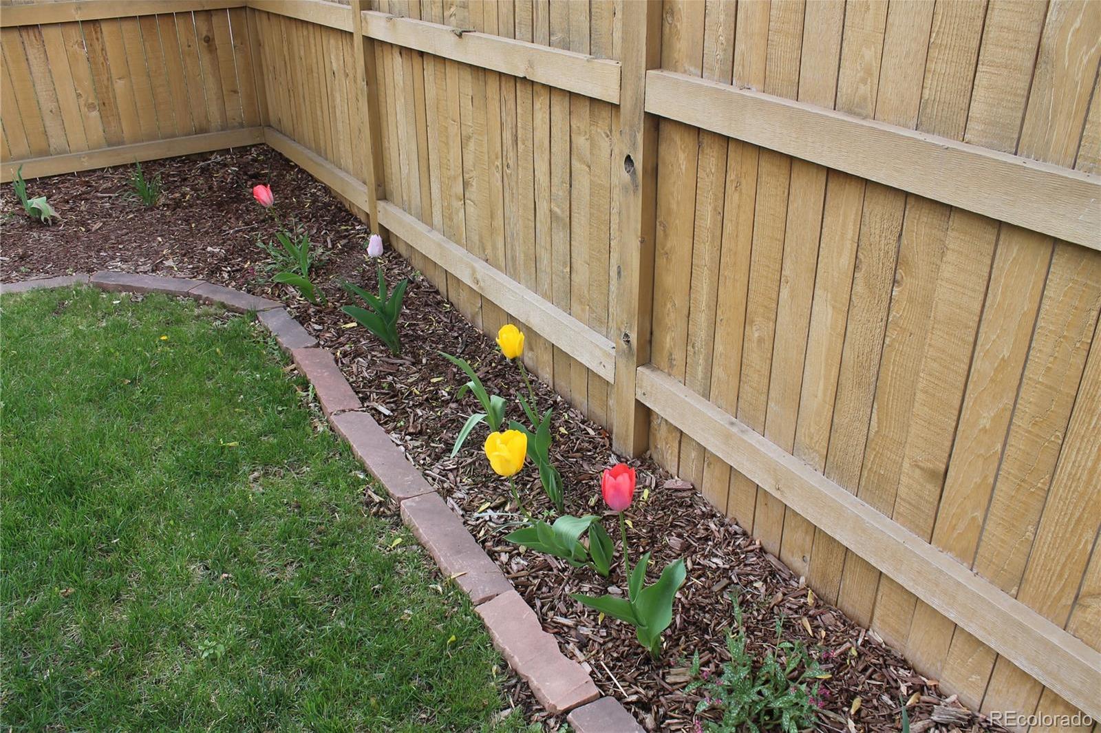 Photo #31