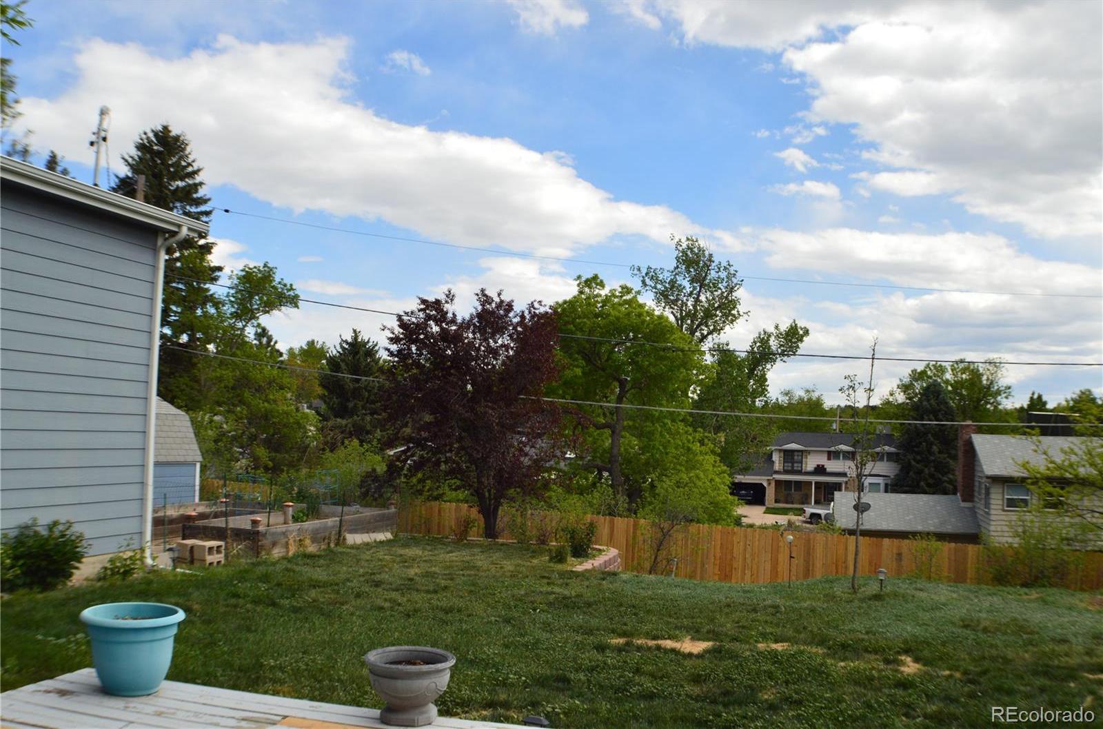 Photo #24