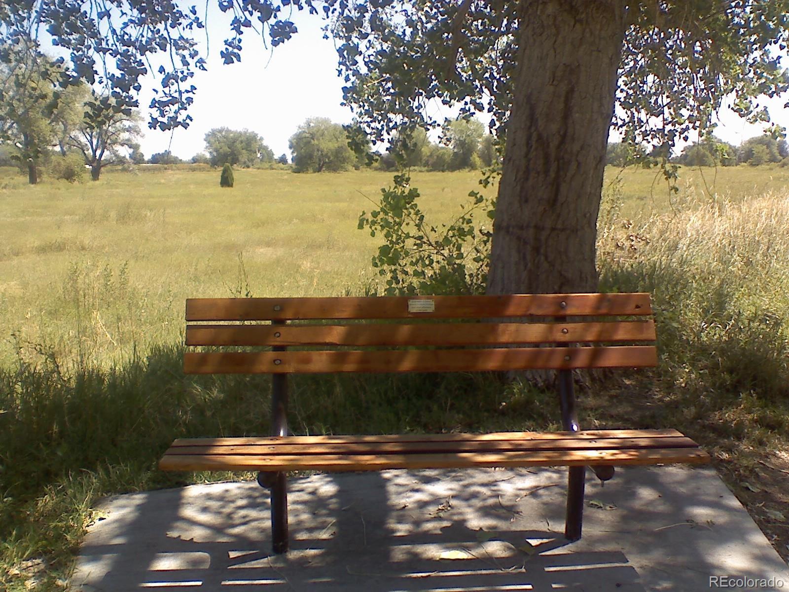 Photo #45