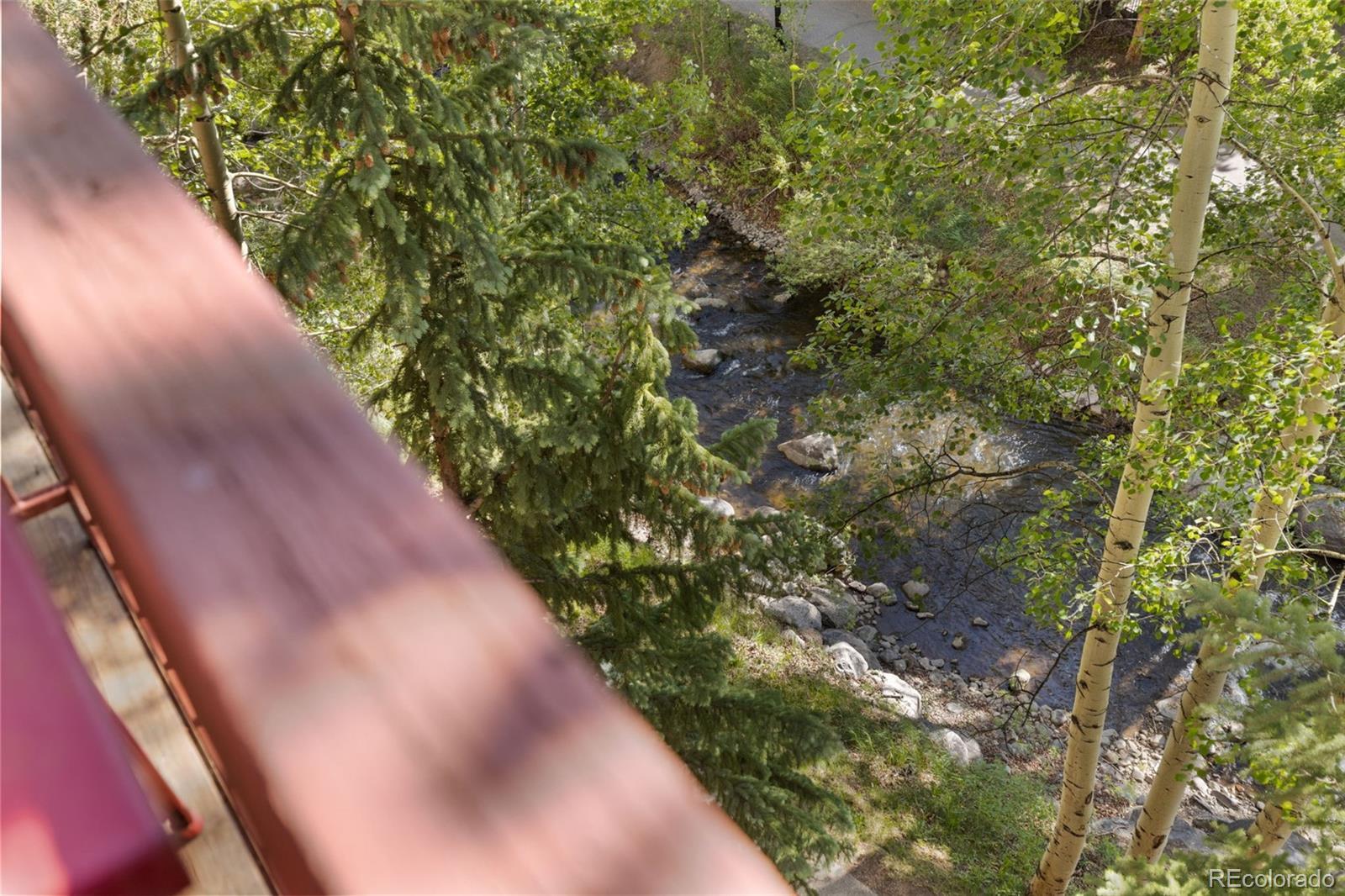 Photo #24