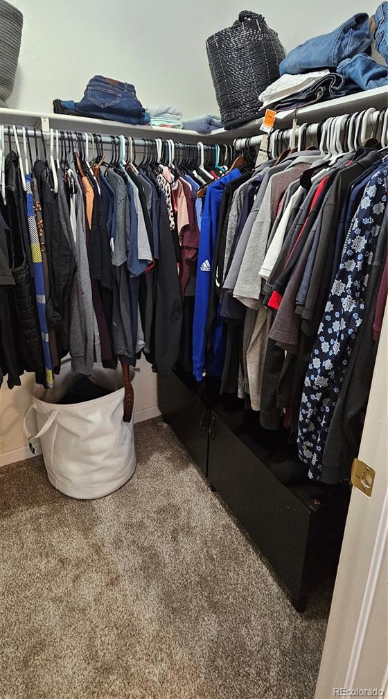 Photo #19