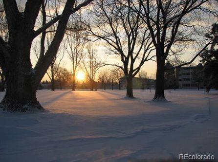 Photo #46