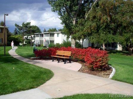 Photo #43