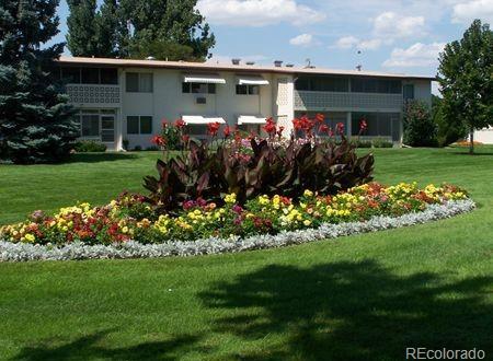Photo #42