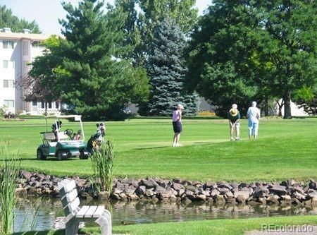 Photo #29