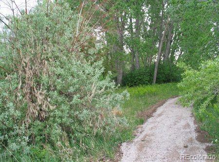 Photo #45
