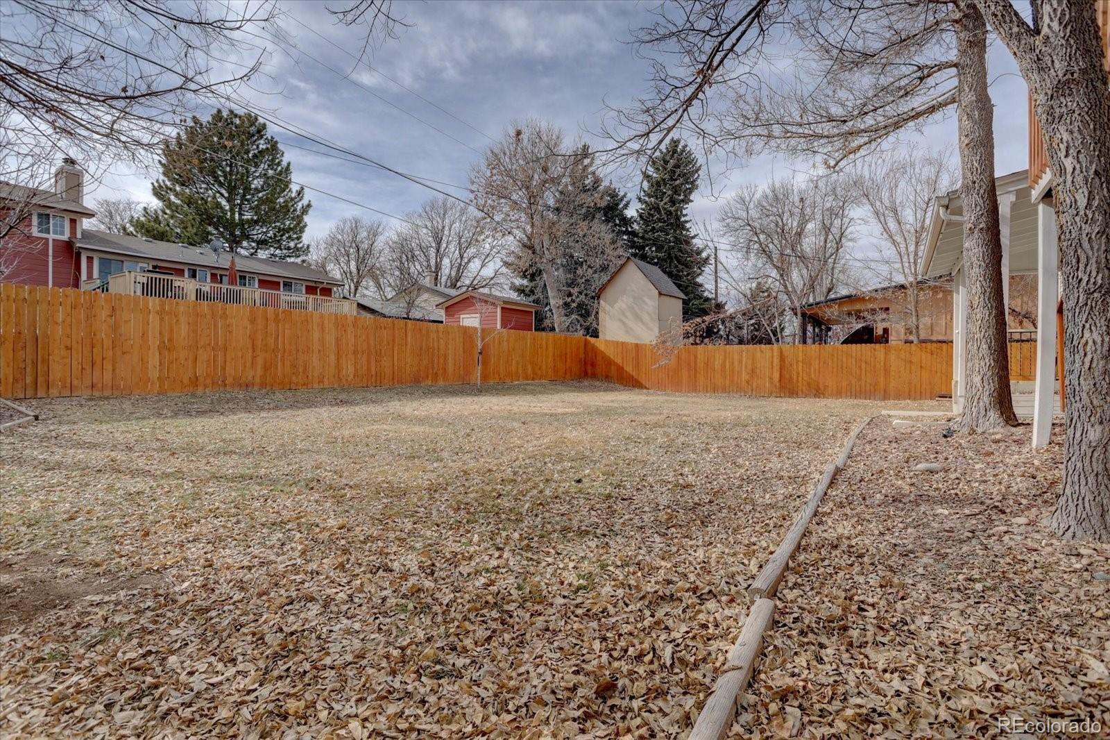 Photo #35
