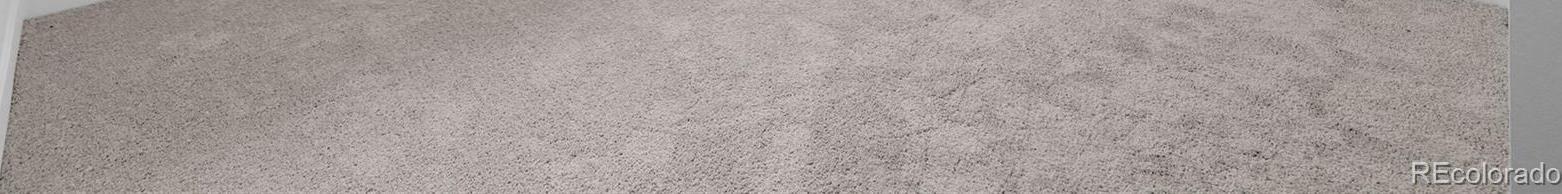 Photo #24