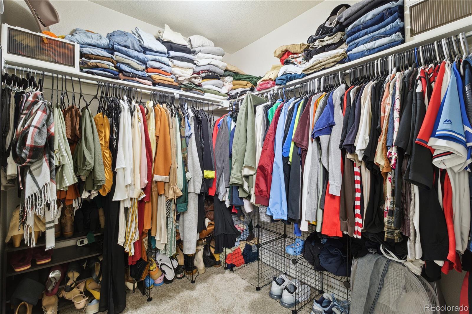 Photo #24