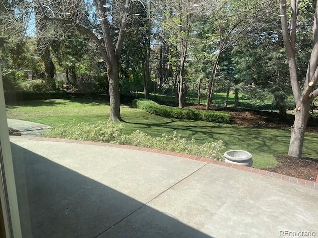 Photo #43