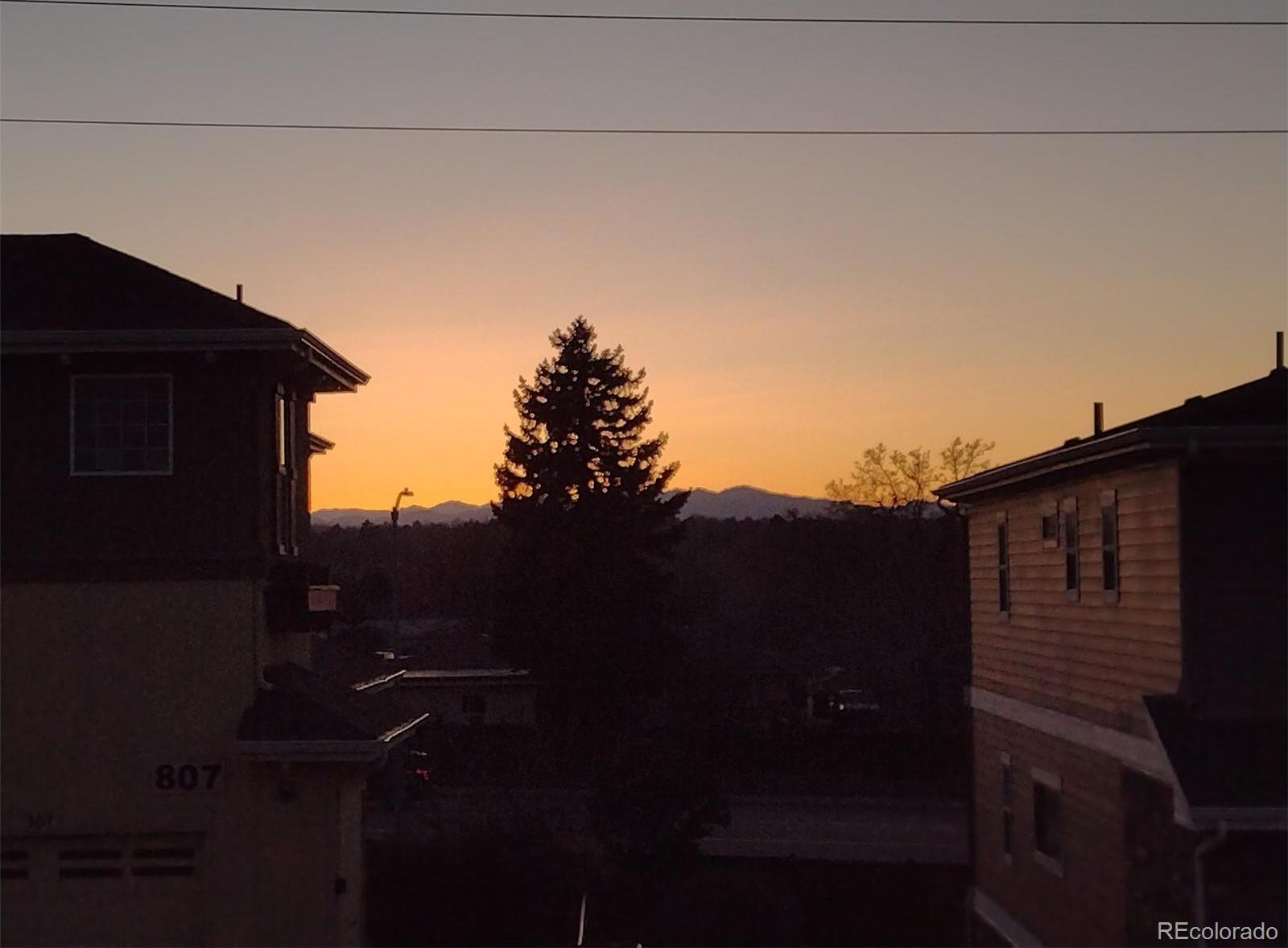 Photo #11