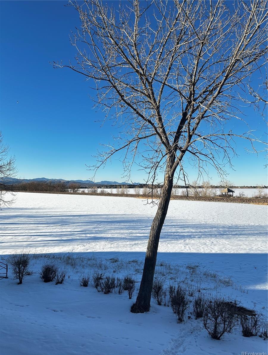 Photo #49