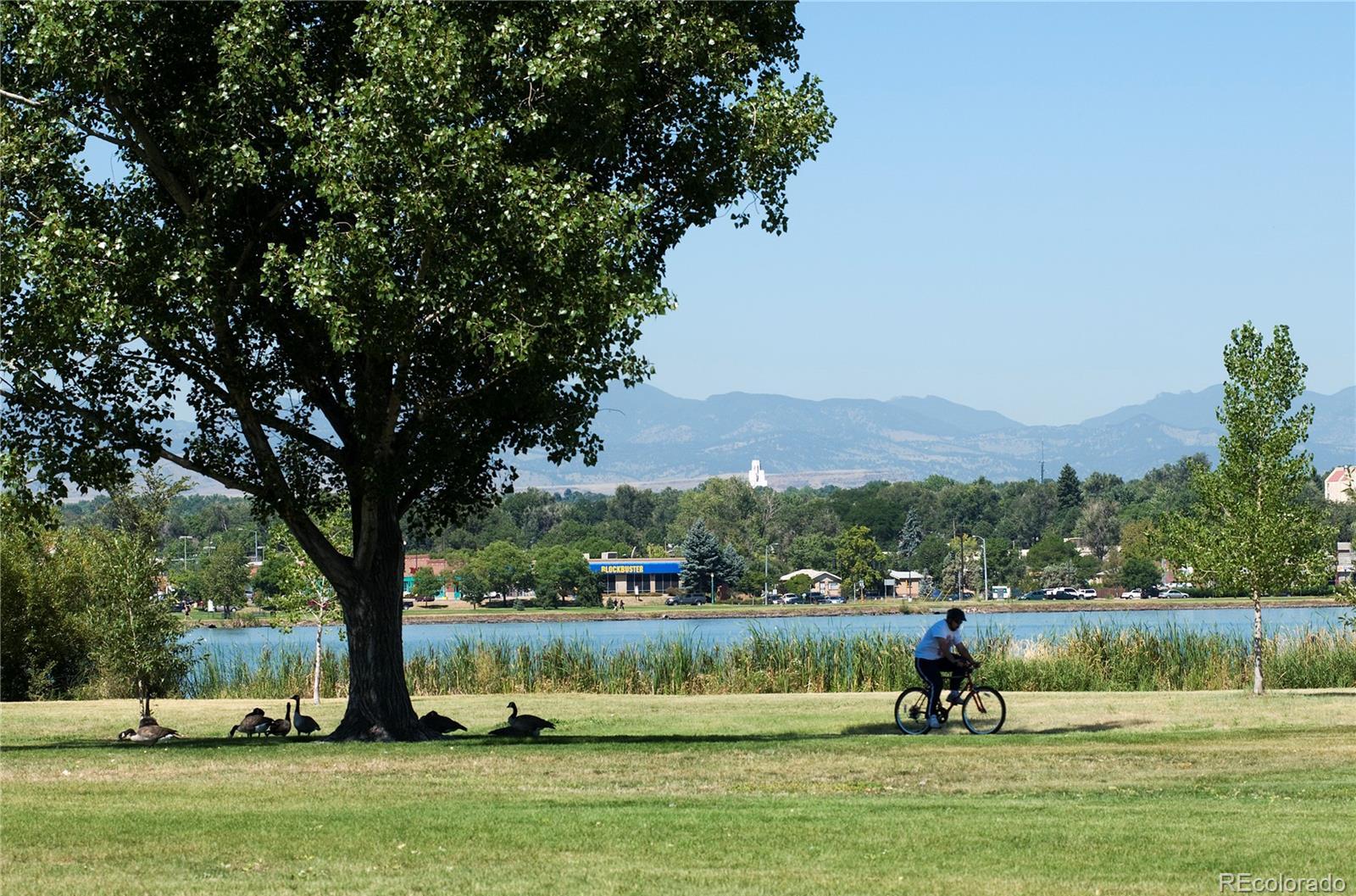 Photo #34
