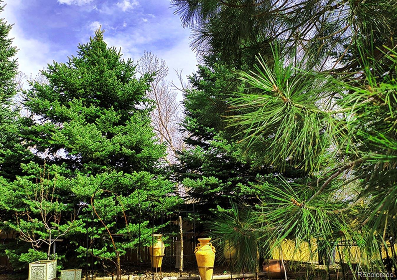 Photo #17
