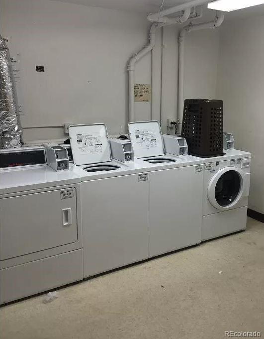 Photo #14