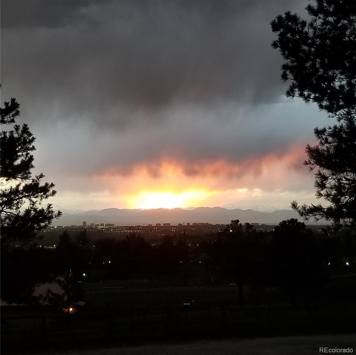 Photo #46