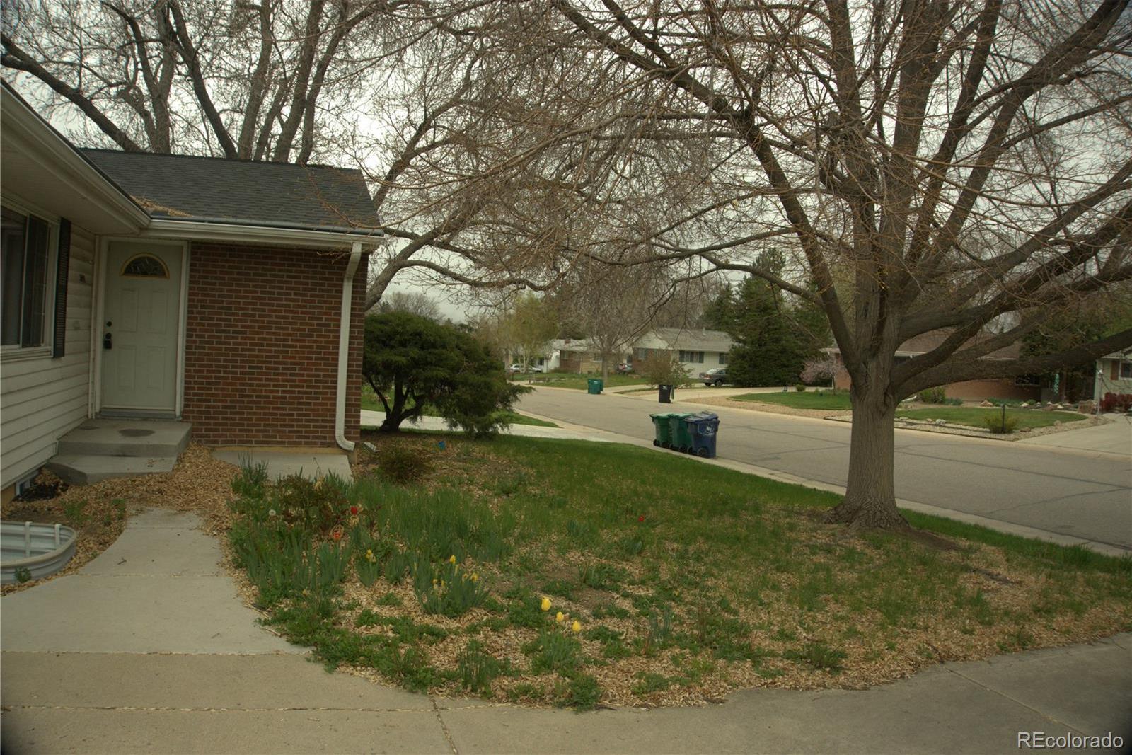 Photo #3